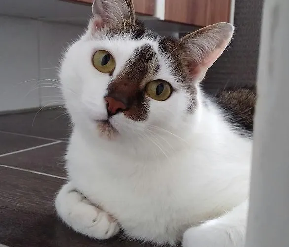 Vier Jahreszeiten 2* Bad Reichenhall