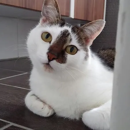 Vier Jahreszeiten 2* Bad Reichenhall